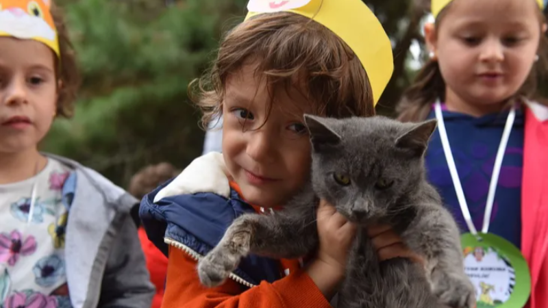 Bursa Yıldırım'da 625 patili dost yuvasını buldu