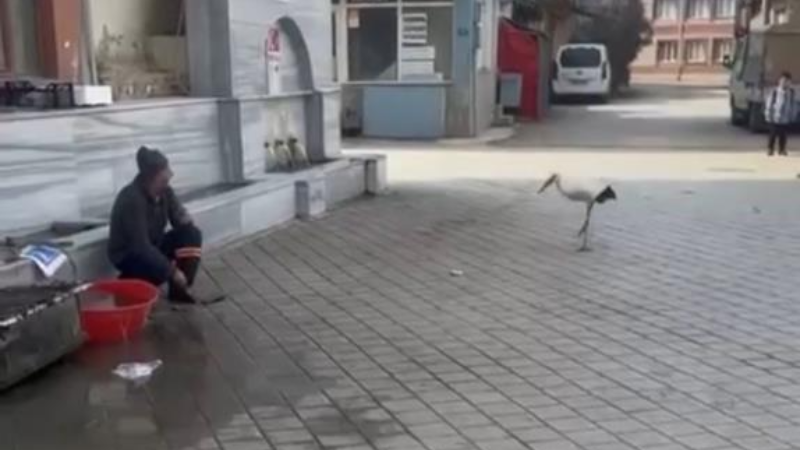 Bursa'da 2.Yaren olayı!