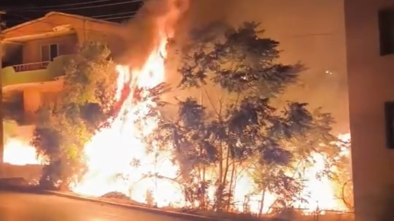 Bursa'da ağaçlar alev aldı, villalar tehlike atlattı