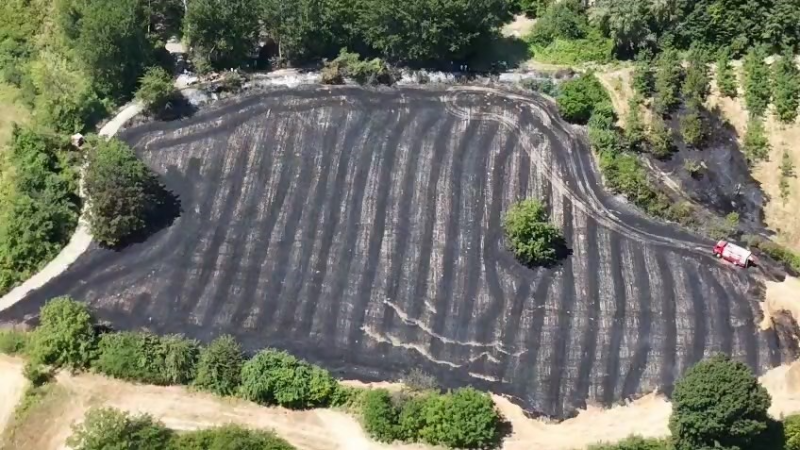 Bursa'da anız yangını büyümeden söndürüldü