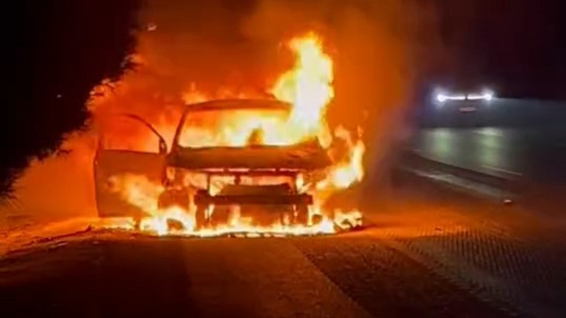 Bursa'da araçta çıkan yangın ormana sıçradı