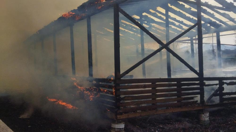 Bursa'da at çiftliğinde yangın paniği