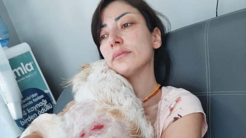 Bursa'da başıboş köpek dehşeti; Saldırıya uğradılar...