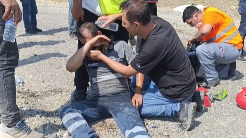 Bursa'da belediye işçisi kendini unuttu, hayvanlara sordu