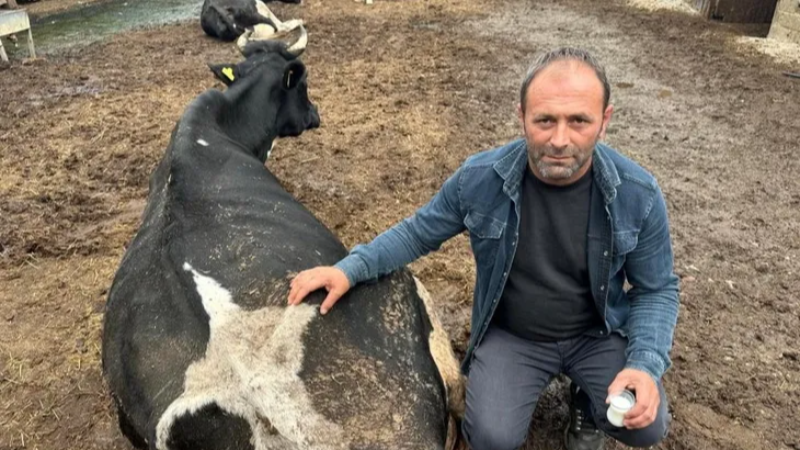 Bursa'da besiciler çok dertli!