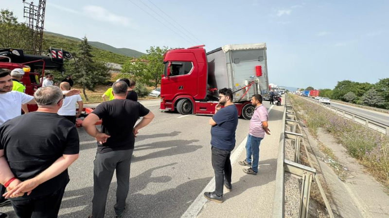 Bursa'da bir arı ortalığı karıştırmaya yetti