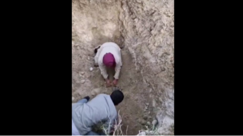 Bursa'da bir garip olay; Köpek cesetlerini mezardan çıkarmaya çalıştılar