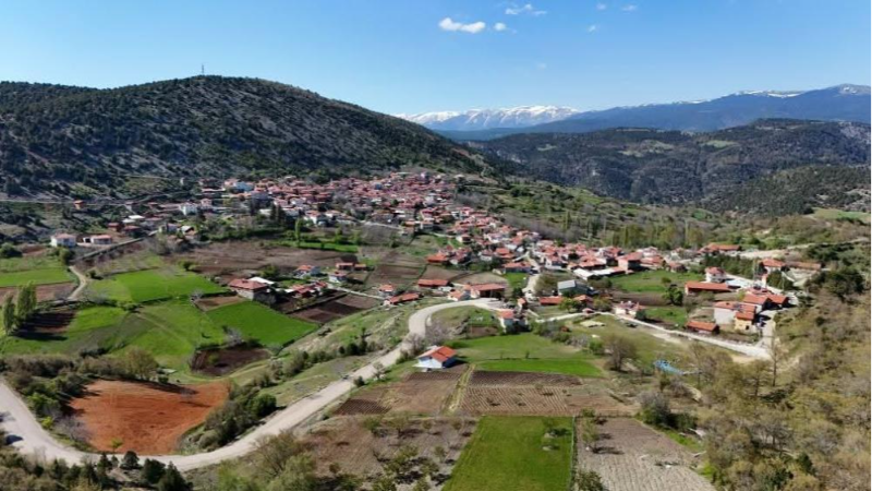 Bursa'da bu köye akın var; İşte nedeni...