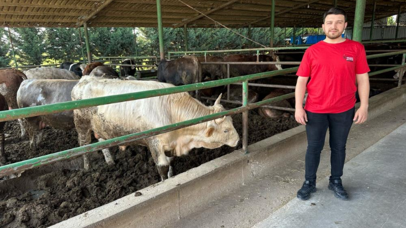 Bursa'da bu yıl kurban fiyatları ne kadar olacak?