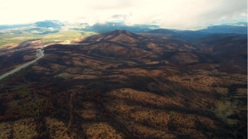 Bursa'da buralar tekrar yemyeşil olacak