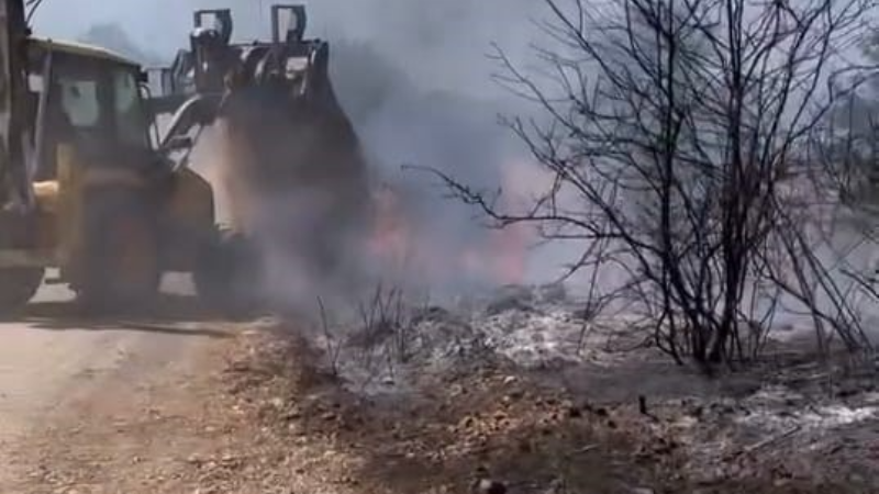 Bursa'da çalılık alanda korkutan yangın!