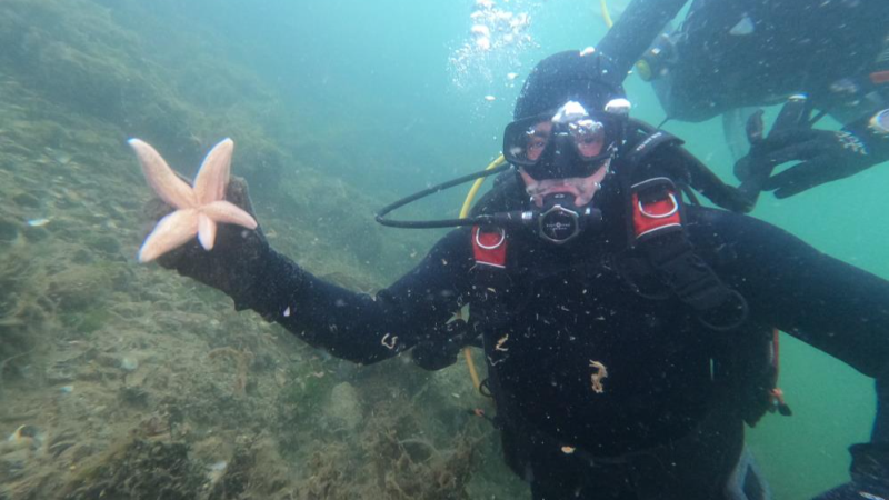 Bursa'da dalgıçlar bile bu işe şaştı kaldı!