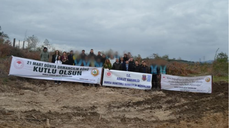 Bursa'da denetimli serbestlik yükümlüleri fidan dikti