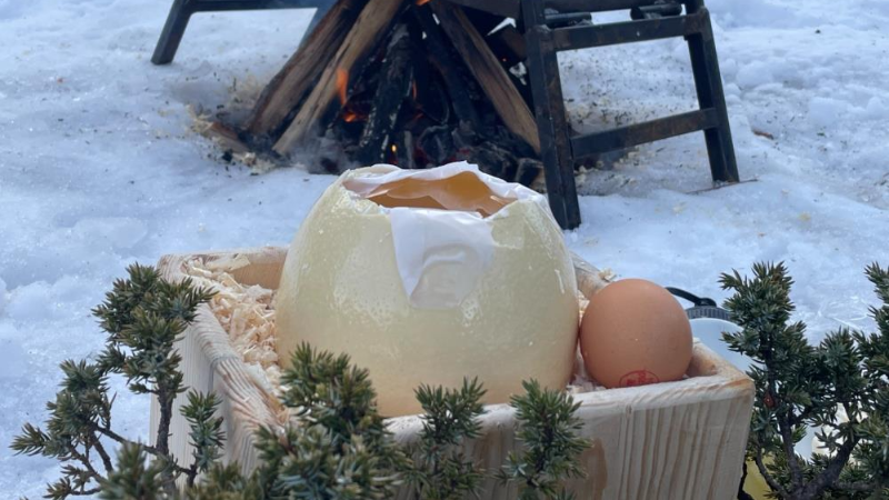 Bursa'da deve kuşu yumurtasıyla şovunu yaptı