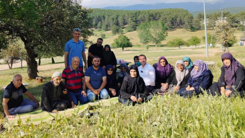 Bursa'da Gököz Köyü'nün yalnız çınarları, bir araya geldi