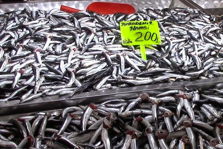 Bursa'da hamsi ucuzladı