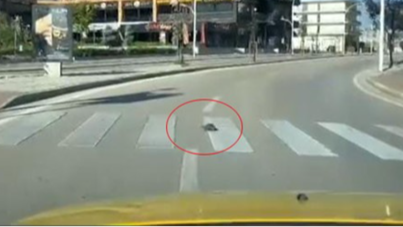 Bursa'da hem ilginç hem de düşüren an!