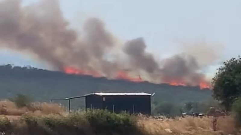 Bursa'da iki bölgede yangın; Müdahale sürüyor