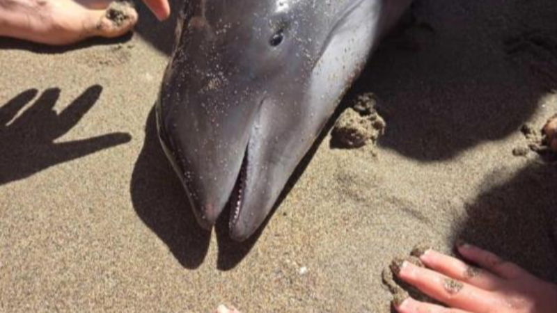 Bursa'da insanın içini acıtan olay