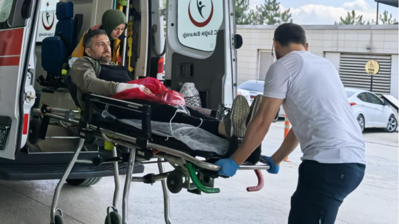 Bursa'da işçinin zor anları; Ağaç keserken...