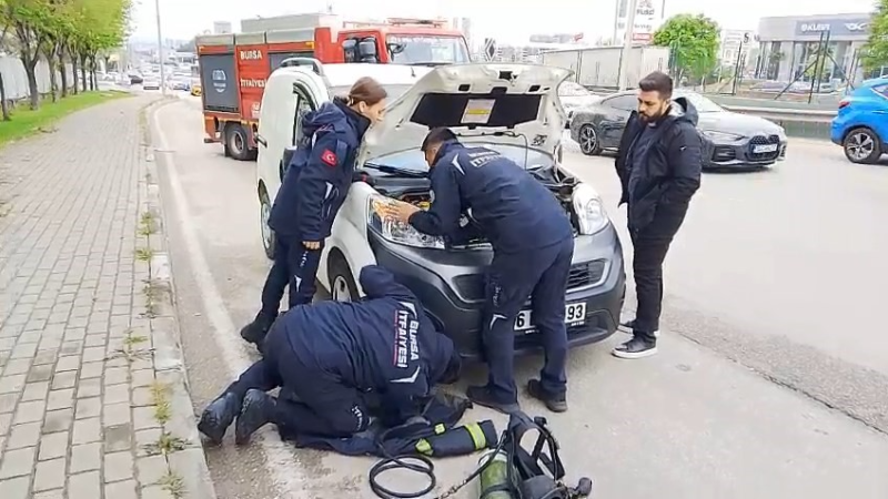Bursa'da itfaiye ekipleri kedi için seferber oldu