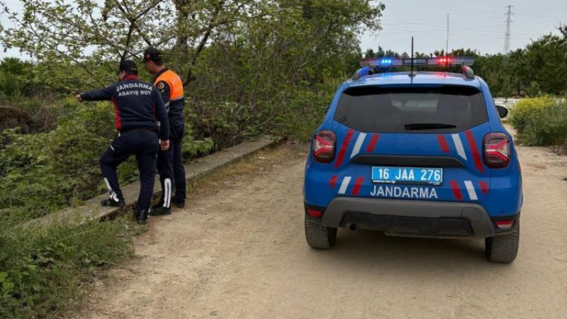 Bursa'da kaçak avcılara rahat yok! Jandarma nefes aldırmıyor