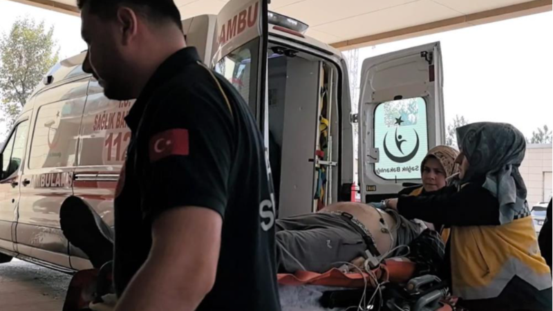 Bursa'da kahreden son; Ağaçtan son...