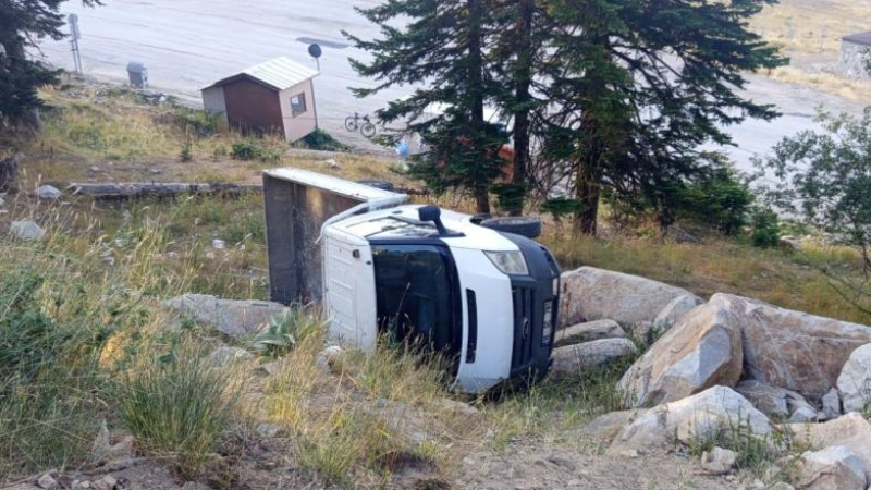 Bursa'da kontrolü kaybetti, ormana yuvarlandı