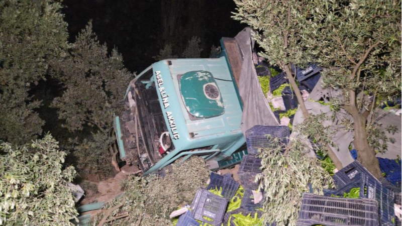 Bursa'da korkutan kaza; Zeytinliğe uçtu