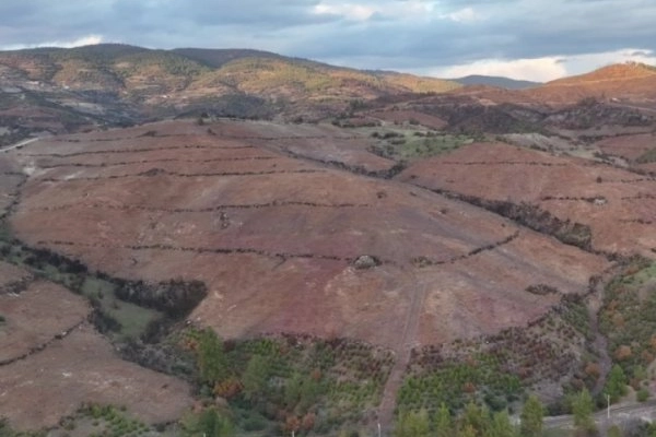 Bursa'da küle dönen o alan yeniden yeşerecek!