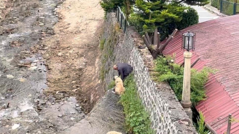 Bursa'da mahsur kalan köpeklerini kurtarmak için bakın ne yaptı!