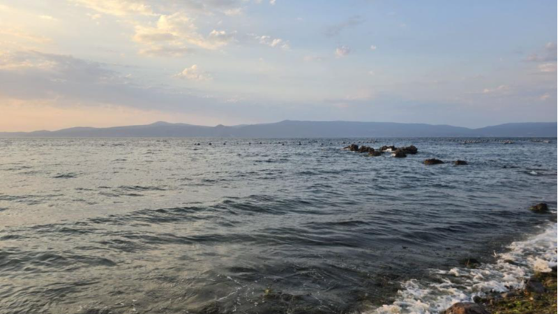 Bursa'da meraklı bekleyiş mutlu bitti