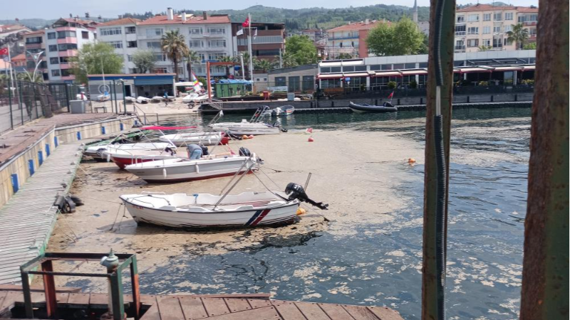 Bursa'da müsilaj balıkçıların korkulu rüyası oldu