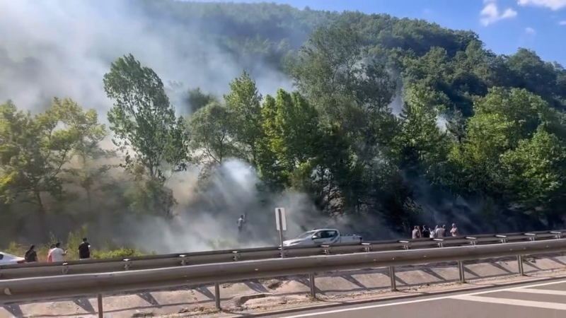 Bursa'da ormanlık alanda çıkan yangına müdahale sürüyor