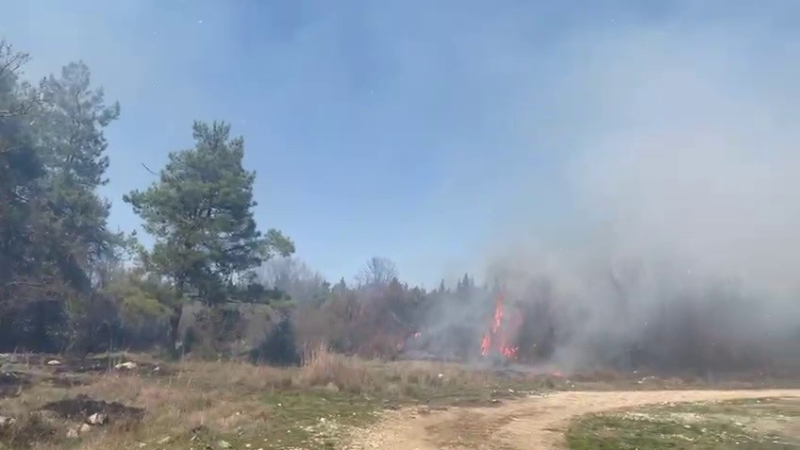 Bursa'da ormanlık alanda yangın çıktı