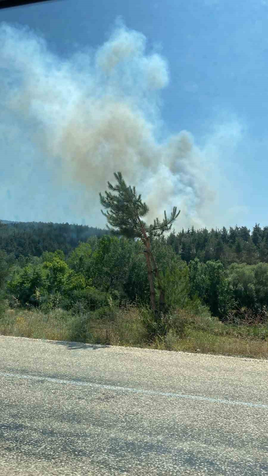Bursa’da ormanlık alanda yangın: Ekipler müdahale ediyor