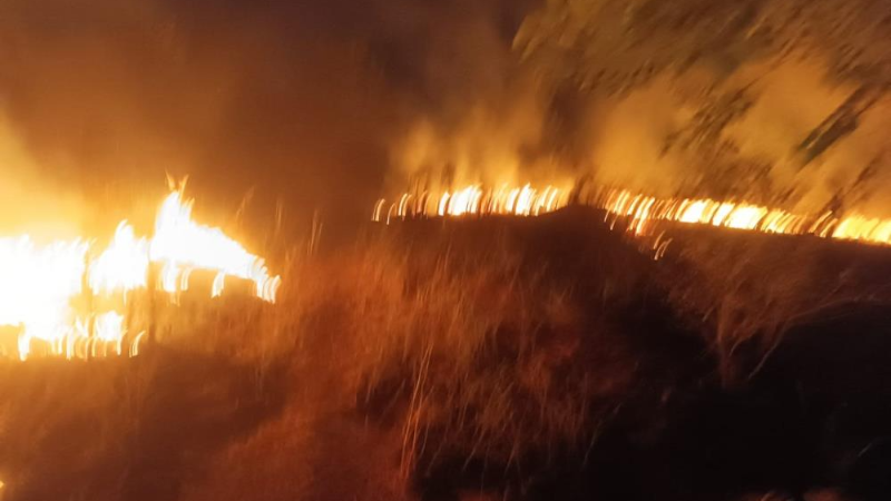 Bursa'da otluk alanda çıkan yangın ağaçlık alana sıçradı