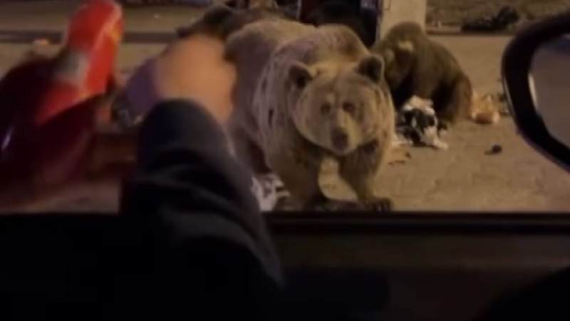 Bursa'da panik dolu anlar