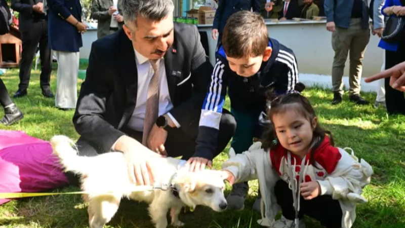 Bursa'da patili canlar için önemli bir proje!