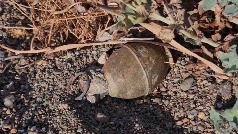 Bursa'da patlamamış el bombası paniğe neden oldu