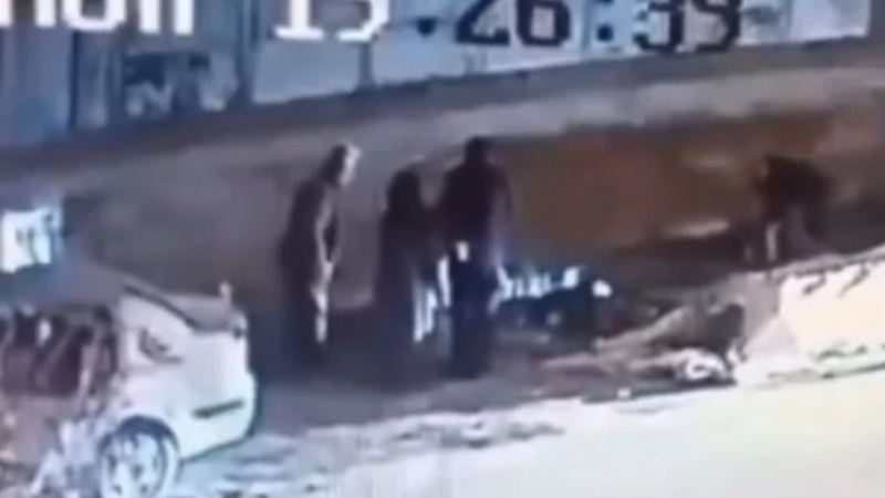 Bursa'da sokak köpeği dehşeti: 3 kişiyi ısırdı