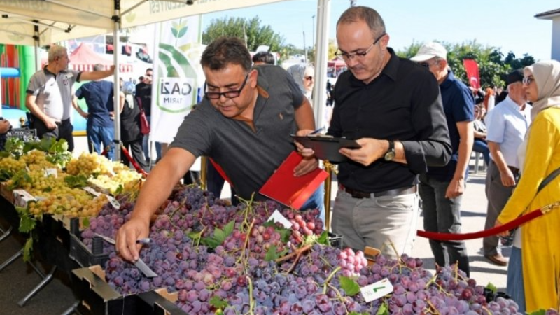 Bursa'da tarım ürünlerine değer katmak için festival