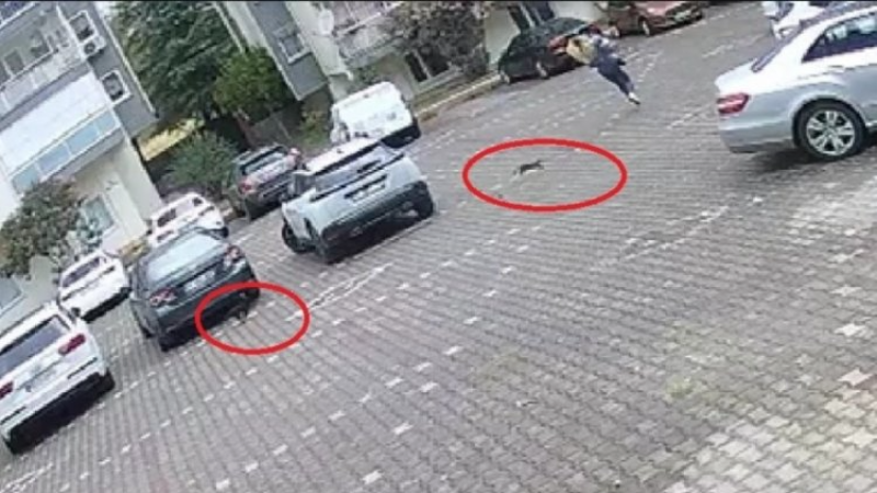Bursa'da tebessüm ettiren olay!