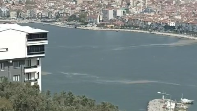 Bursa'da tedirgin eden görüntü; Çözüm nasıl bulunacak?