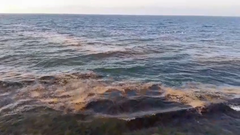 Bursa'da terdirgin eden olay; Bu kez Mudanya...
