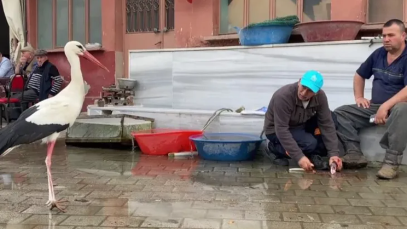 Bursa'da tüm Dünya'nın dikkatini çekecek bir hikaye daha!