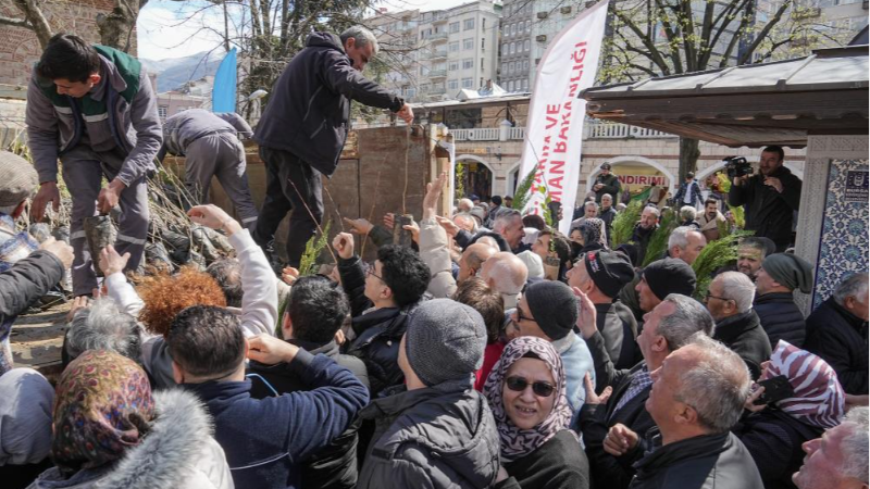 Bursa'da ücretsiz fidan izdihamı