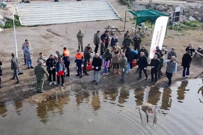 Bursa'da yaban ördekleri suyla buluştu