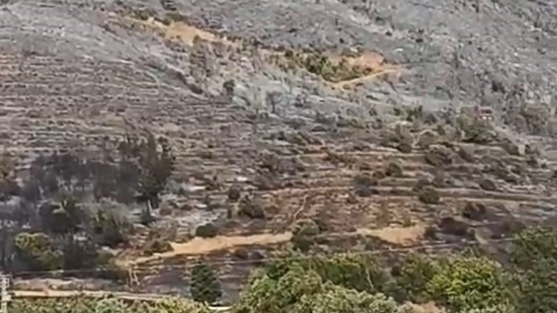 Bursa'da yangın tamamen söndürüldü!