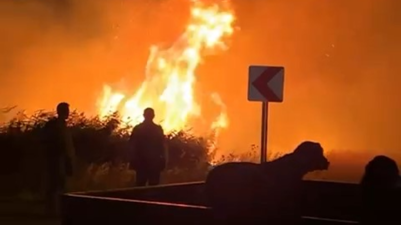 Bursa'da yangınlar bitmiyor; Yine İznik...